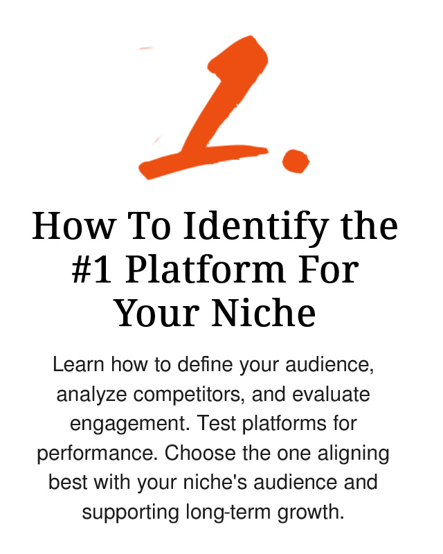 How To Identify The #1 Platform For Your Niche